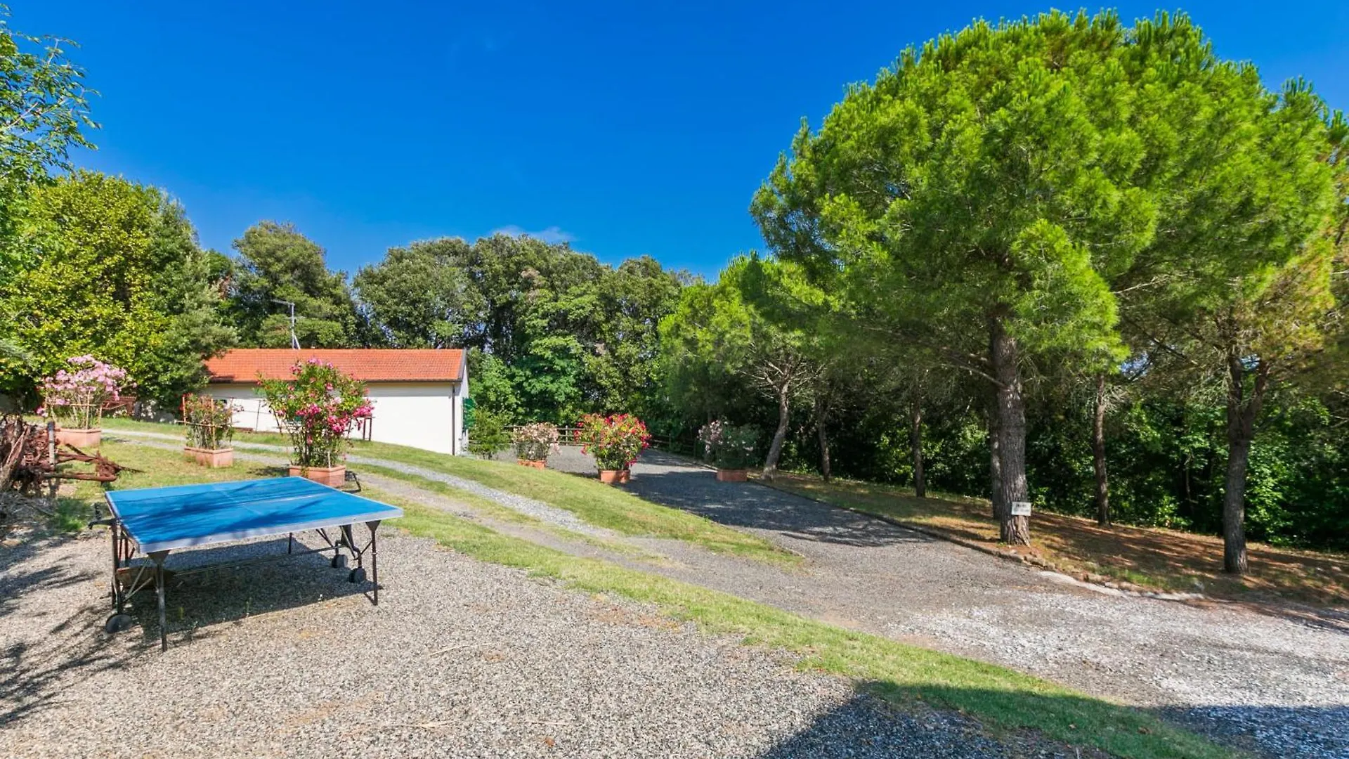 Holiday Home Podere Gli Olivi By Interhome Italien